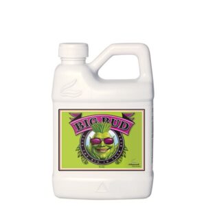 Big-Bud-Liquid-500-ml-Advanced-Nutrients