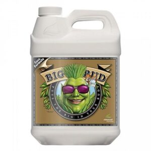 advanced-nutrients-big-bud-coco-5loelkoae